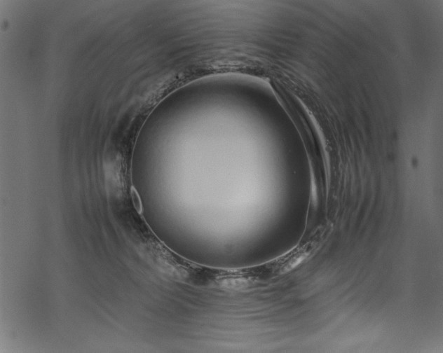 X0000070210228200605301410