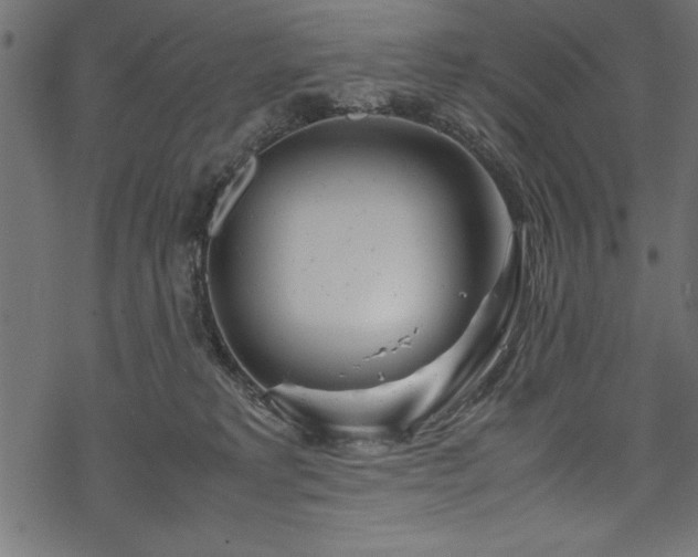 X0000070210229200605301410