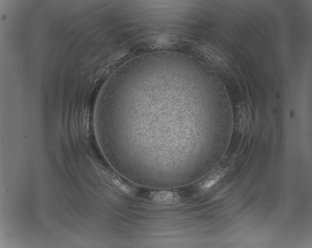 X0000070210230200605301410