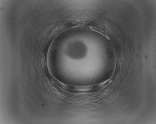 X0000070210231200605301410