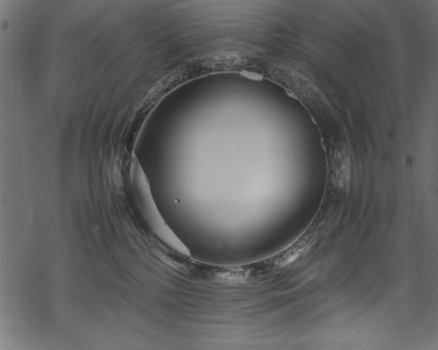 X0000070210232200605301410