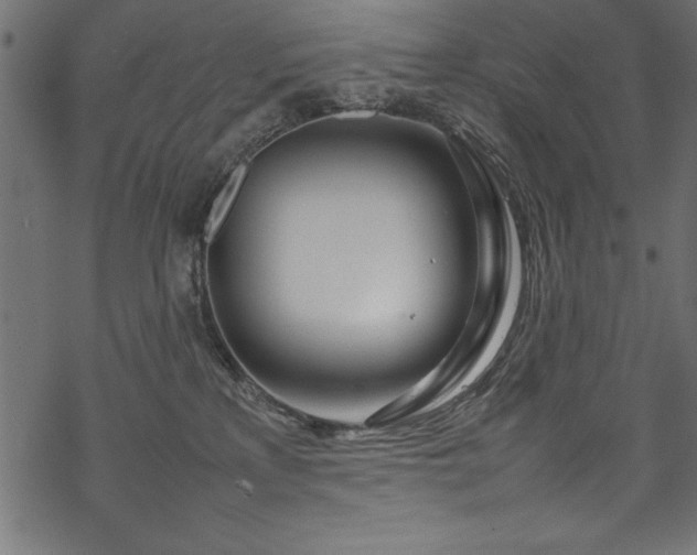 X0000070210233200605301410