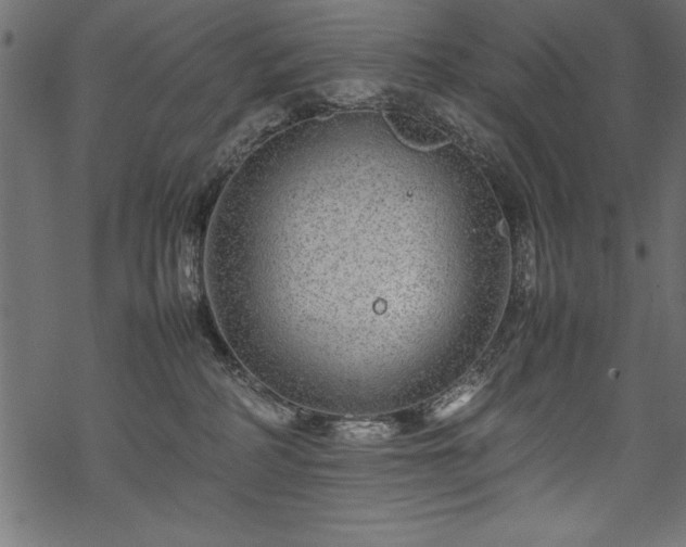 X0000070210234200605301410