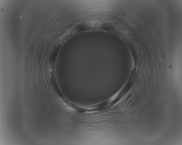 X0000070210235200605301410