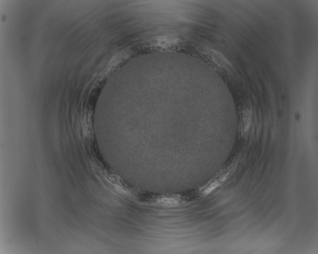 X0000070210236200605301410