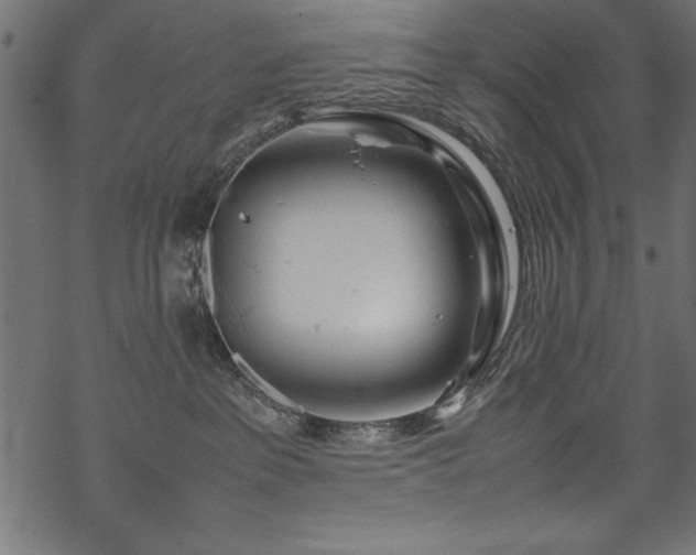 X0000070210237200605301410