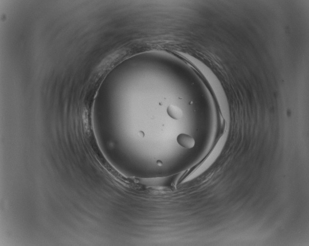 X0000070210238200605301410