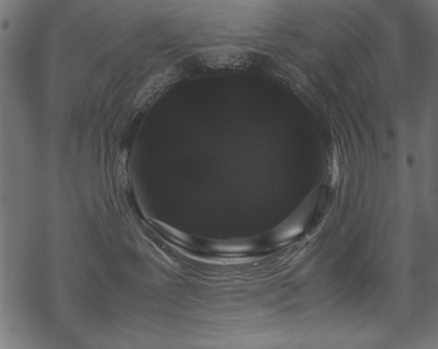 X0000070210239200605301410