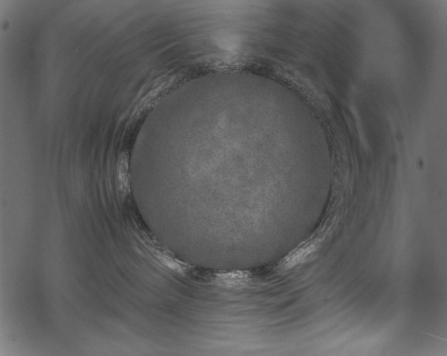 X0000070210240200605301410