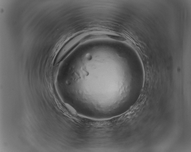 X0000070210241200605301409