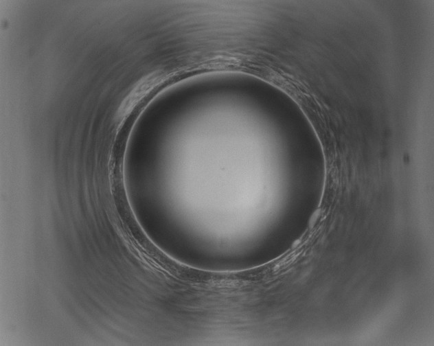 X0000070210242200605301409