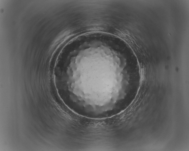 X0000070210243200605301409