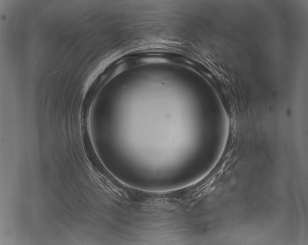 X0000070210244200605301409