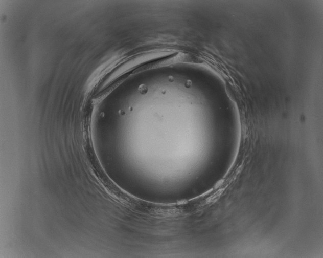 X0000070210245200605301409