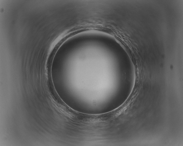 X0000070210246200605301409