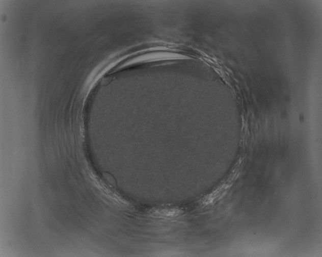 X0000070210247200605301409