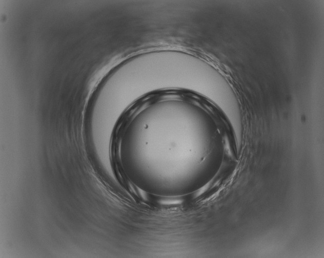 X0000070210248200605301409