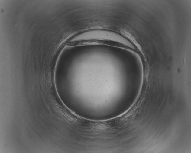 X0000070210249200605301409