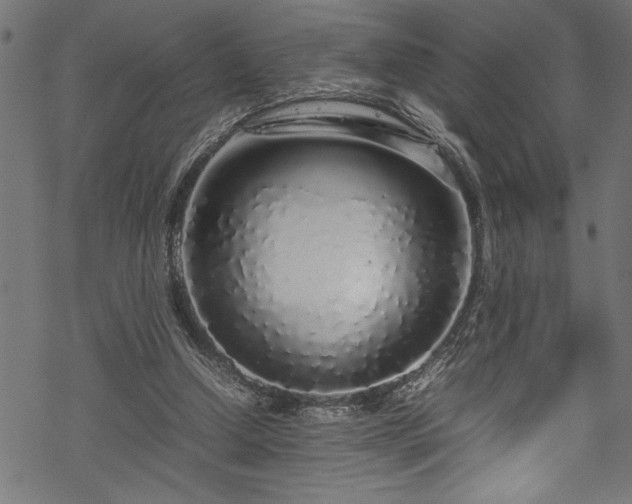 X0000070210250200605301409