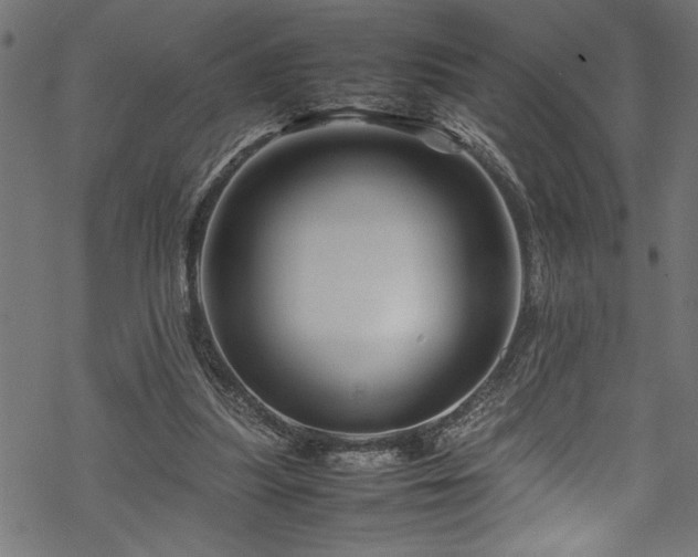 X0000070210251200605301409