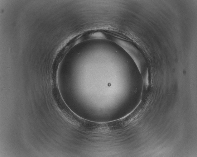 X0000070210252200605301409