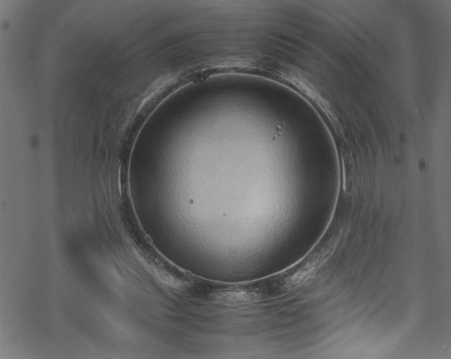 X0000070210253200605301409