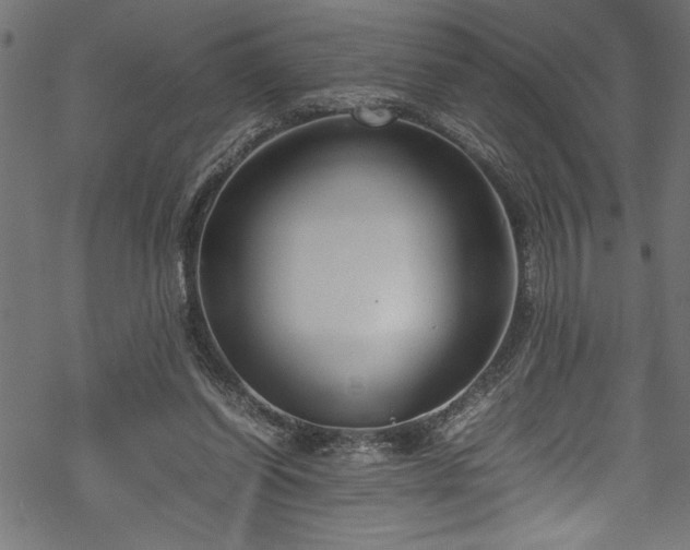 X0000070210254200605301409