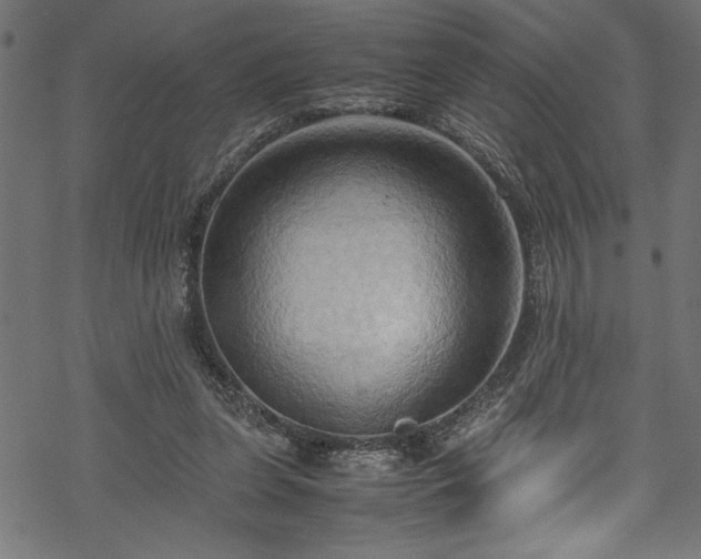 X0000070210255200605301409