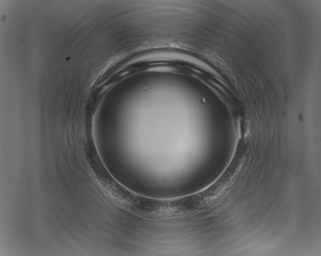 X0000070210256200605301409