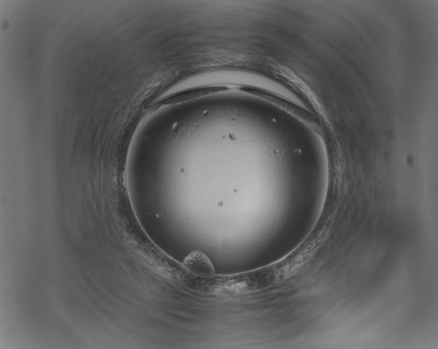 X0000070210257200605301409