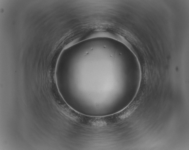 X0000070210258200605301409