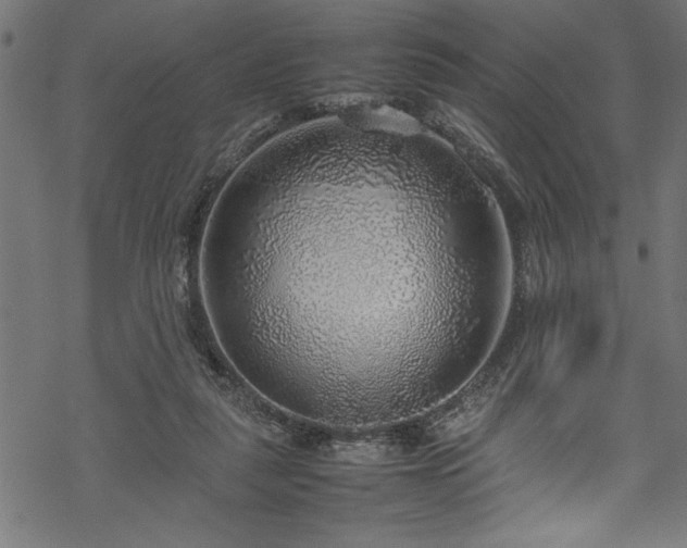 X0000070210259200605301410