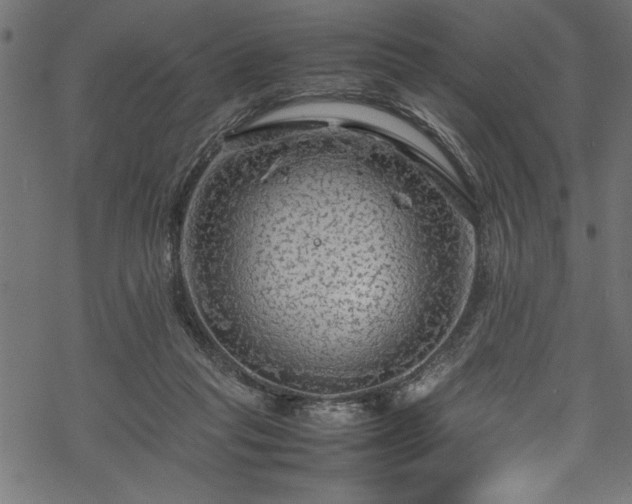 X0000070210261200605301410