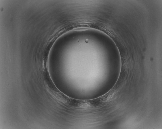 X0000070210262200605301410