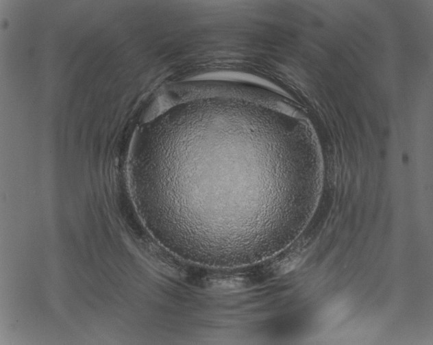 X0000070210263200605301410