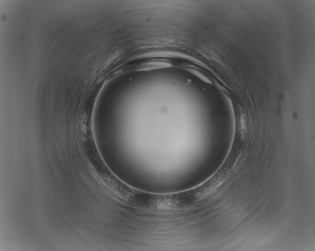 X0000070210264200605301410