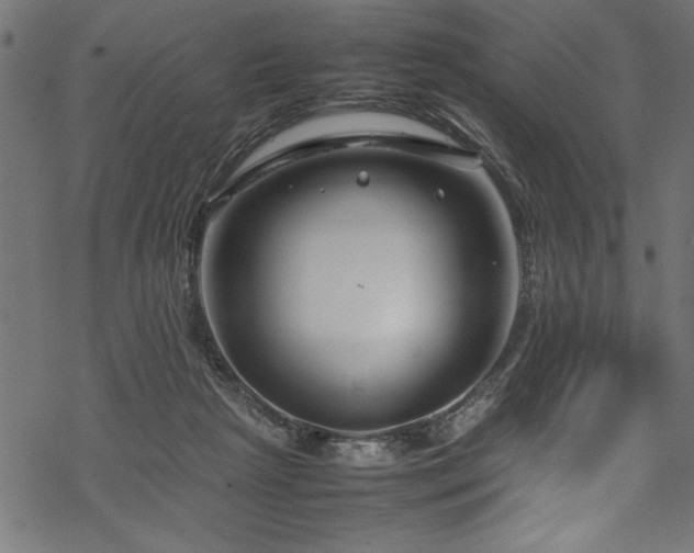 X0000070210265200605301410