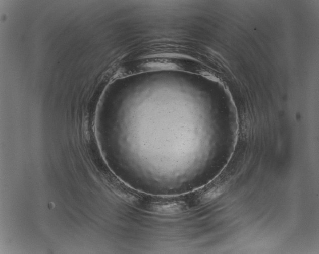 X0000070210267200605301410