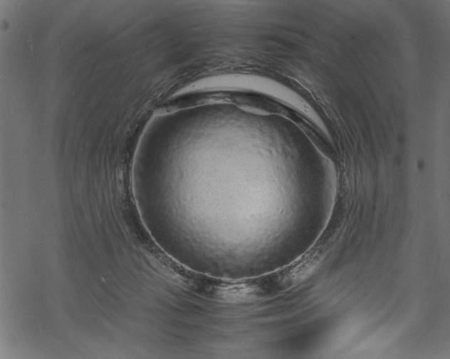 X0000070210269200605301410