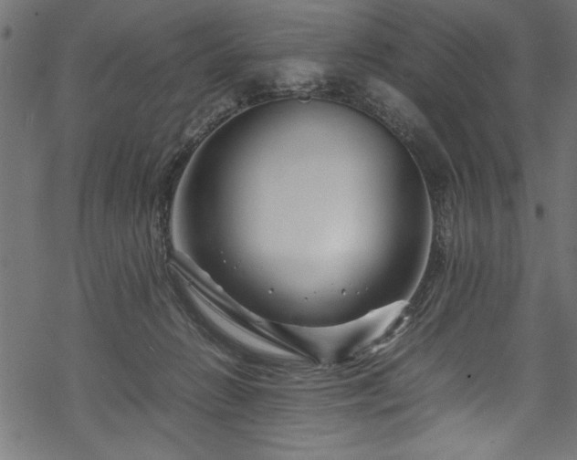 X0000070210270200605301410