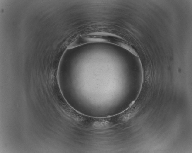 X0000070210271200605301410