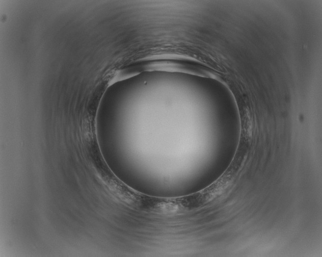 X0000070210272200605301410