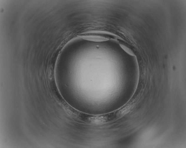 X0000070210273200605301410