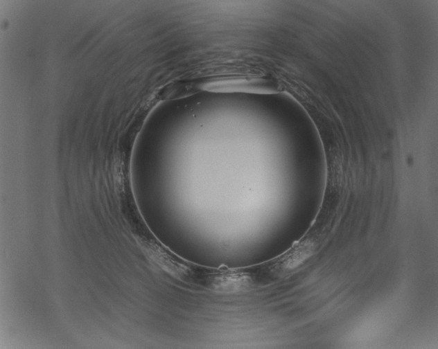 X0000070210274200605301410