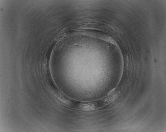 X0000070210275200605301410