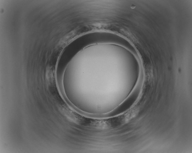 X0000070210276200605301410