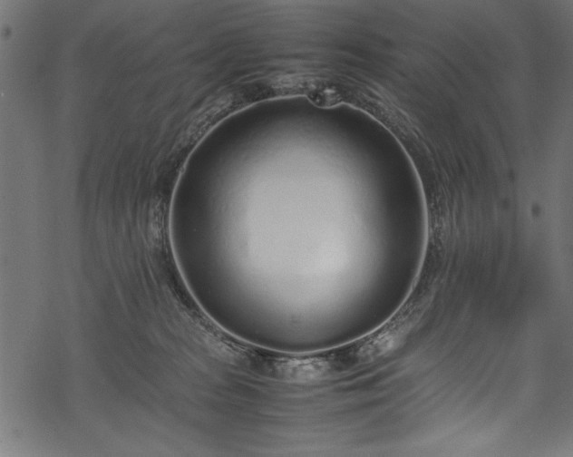 X0000070210277200605301410