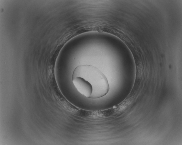 X0000070210278200605301410