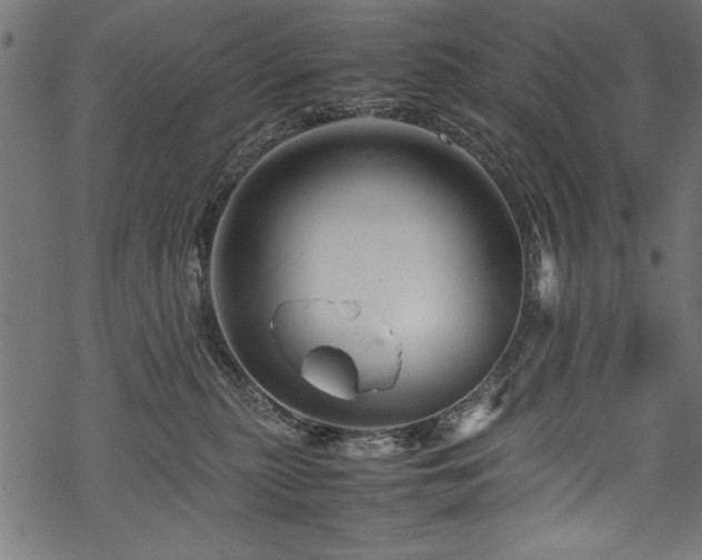 X0000070210279200605301410