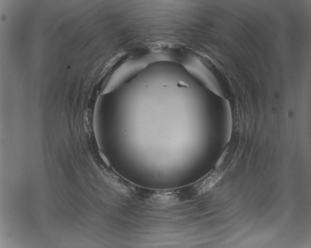 X0000070210280200605301410